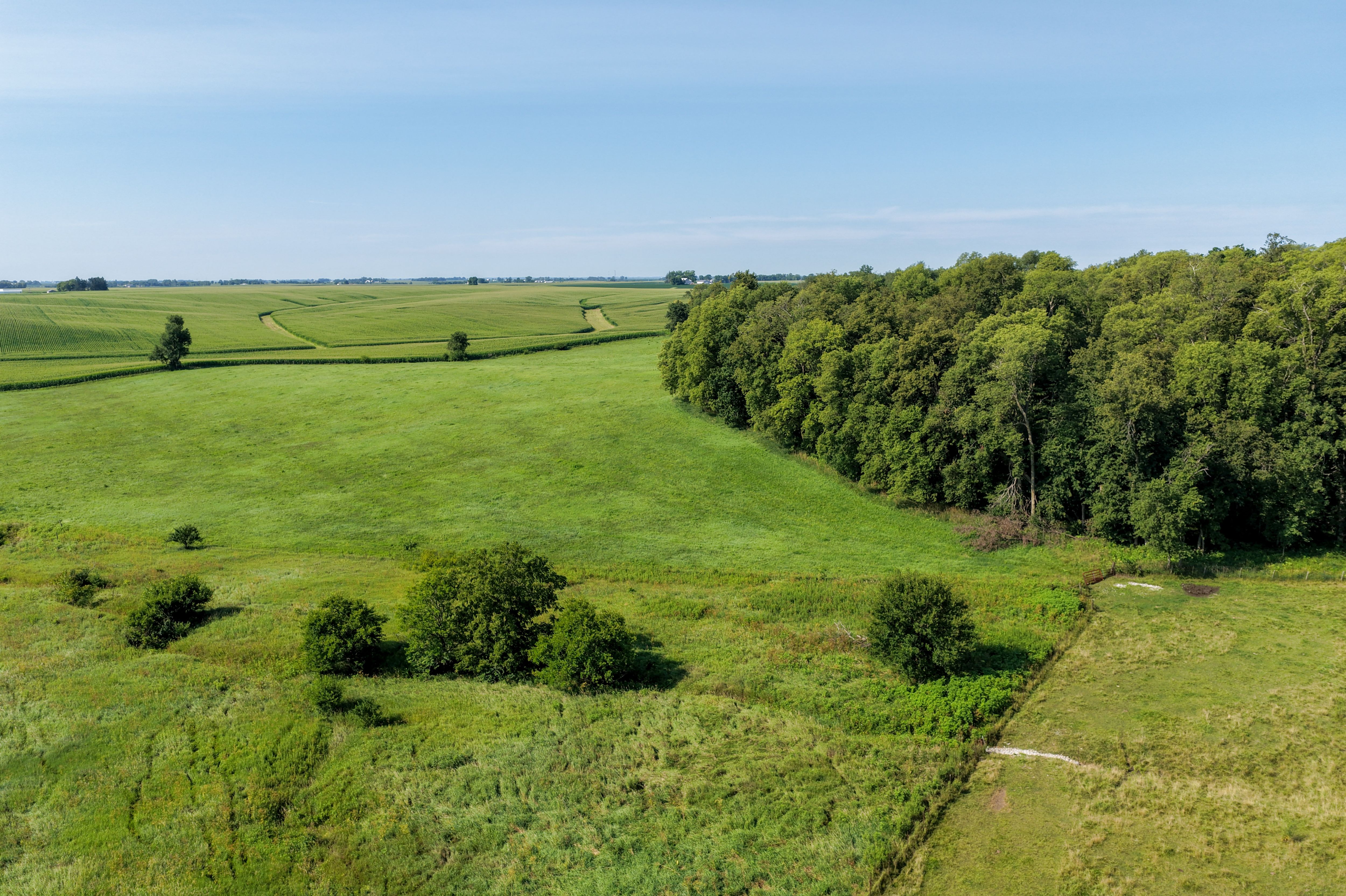 Listing Photo: Land for Sale Johnson County Iowa-22